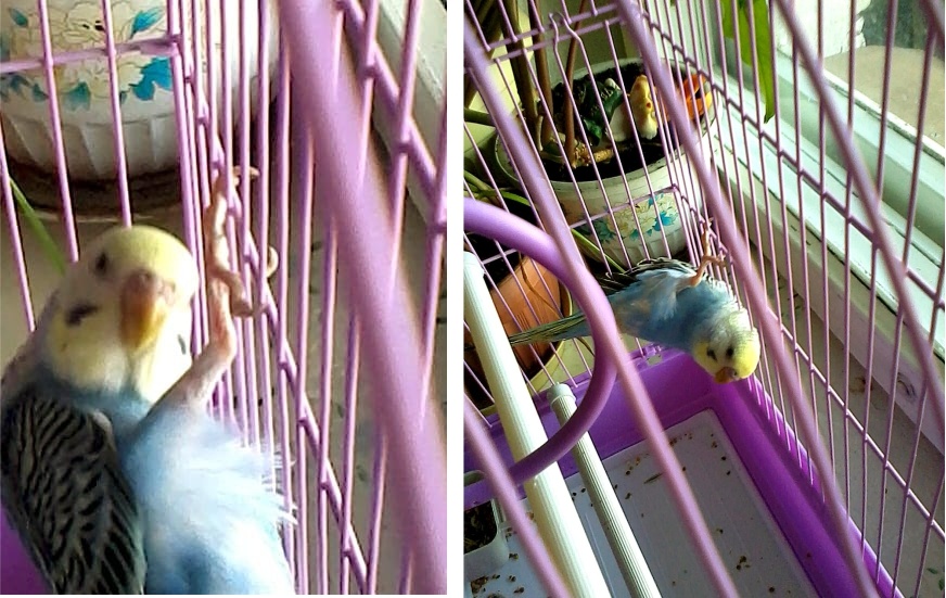 Не кричи на меня, я маленький!