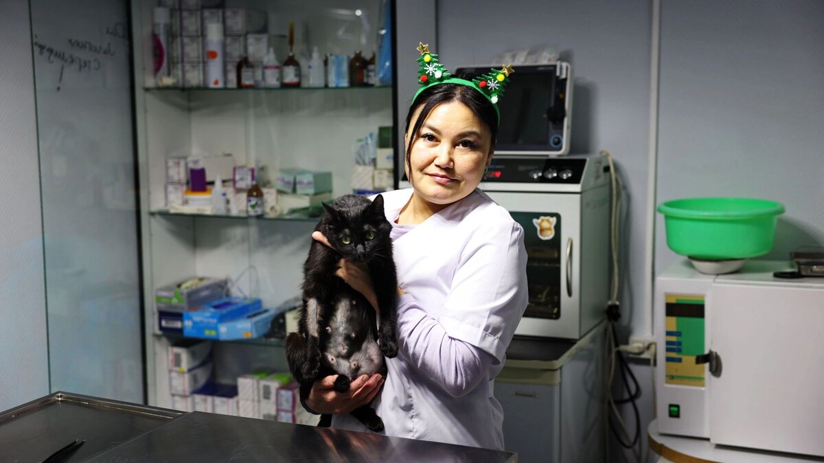    Фото: Андрей Ткачев / «Ямал-Медиа»