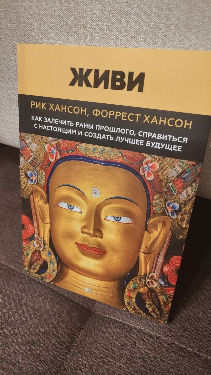 книга, о которой я упоминаю