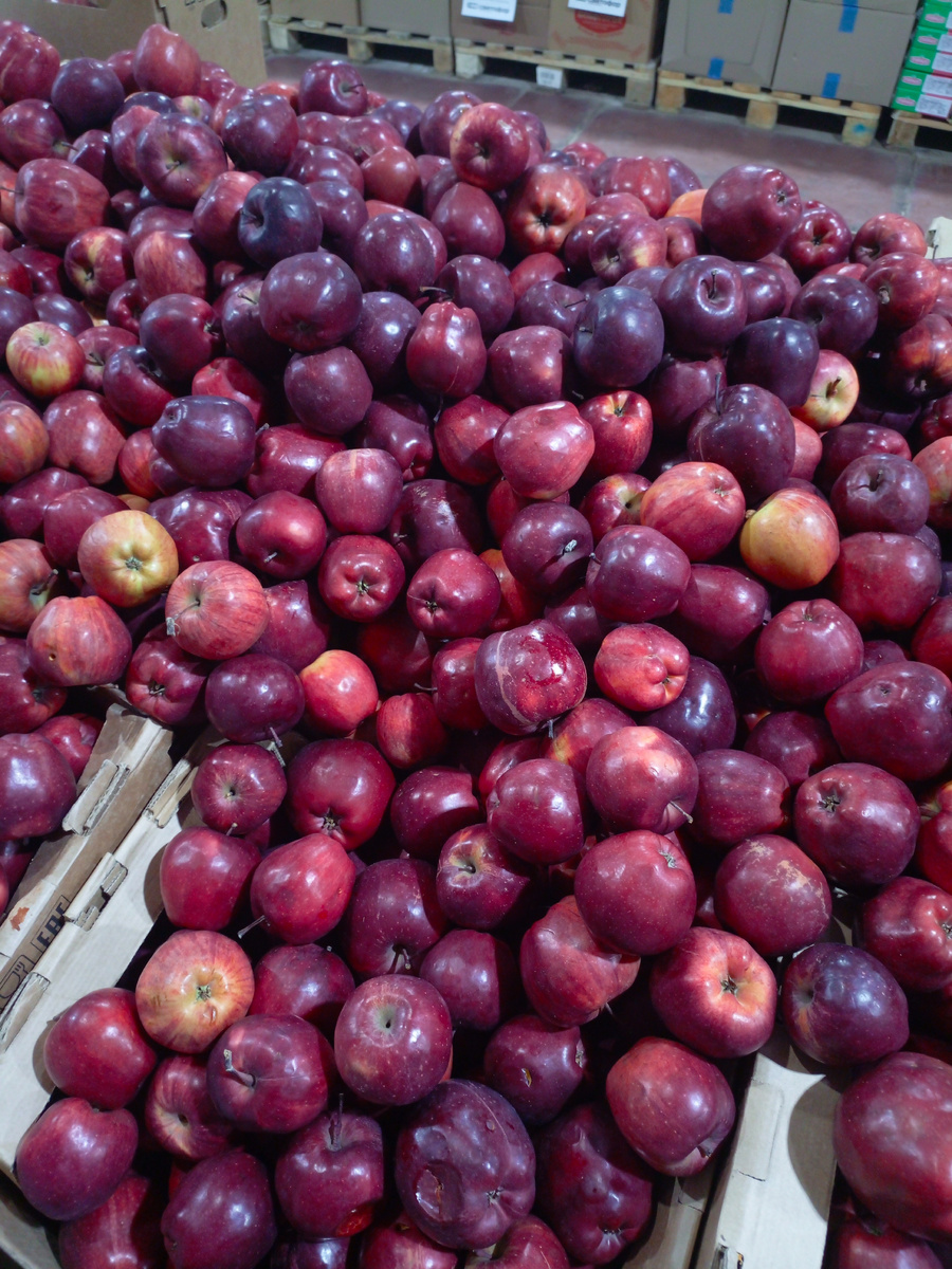 Фото сделано автором канала