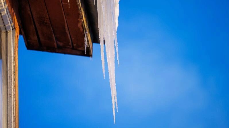    Фото: Федор Воронов/«Ямал-Медиа»