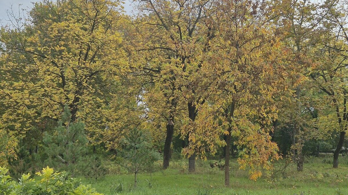    Фото: телеканал «Краснодар»