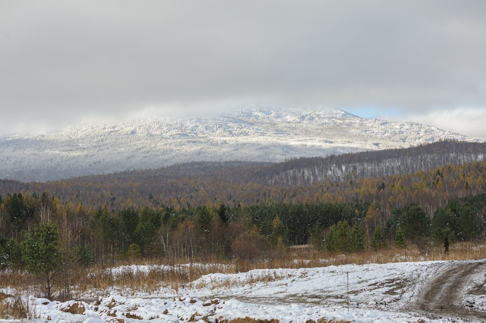   Илья САВЧУК