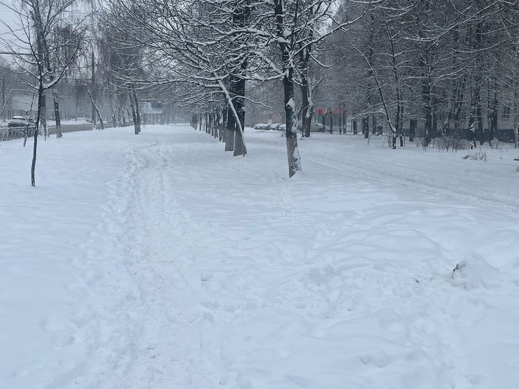     Фото: Марианна Альянова / "МК в Орле"