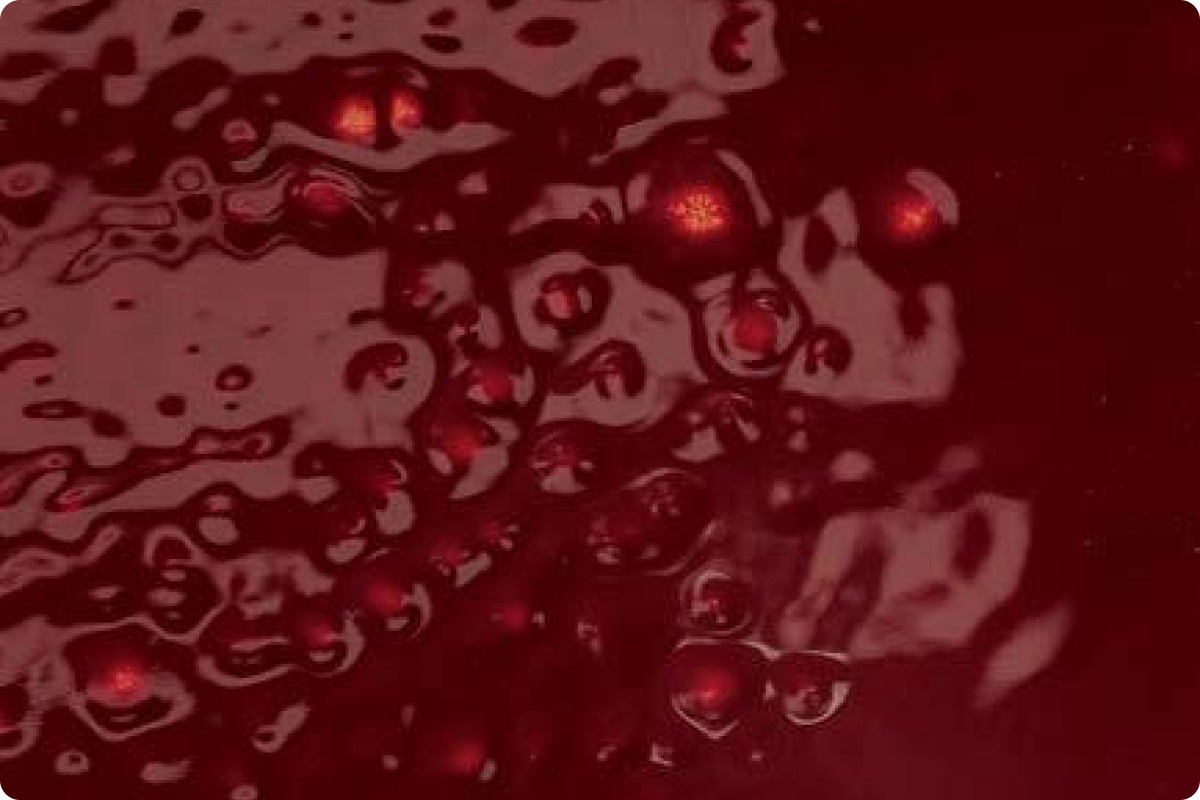 Фото из свободного доступа