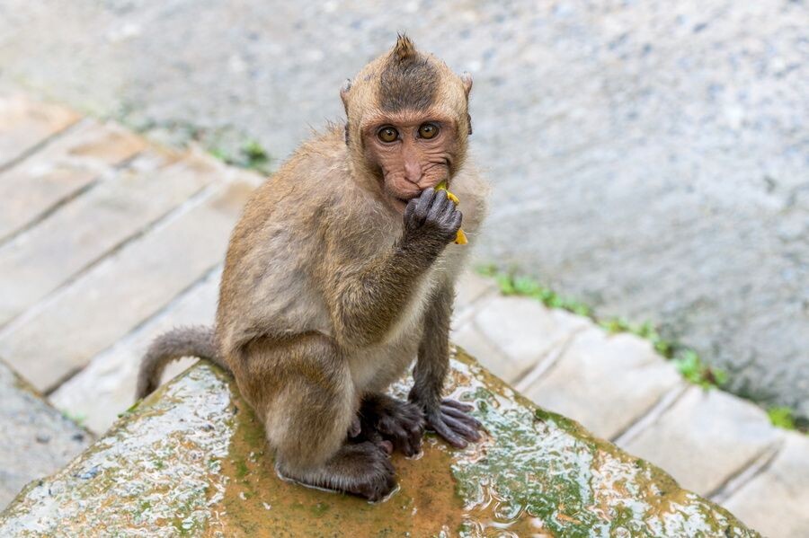     / Источник: © Сергей Русанов/ТАСС