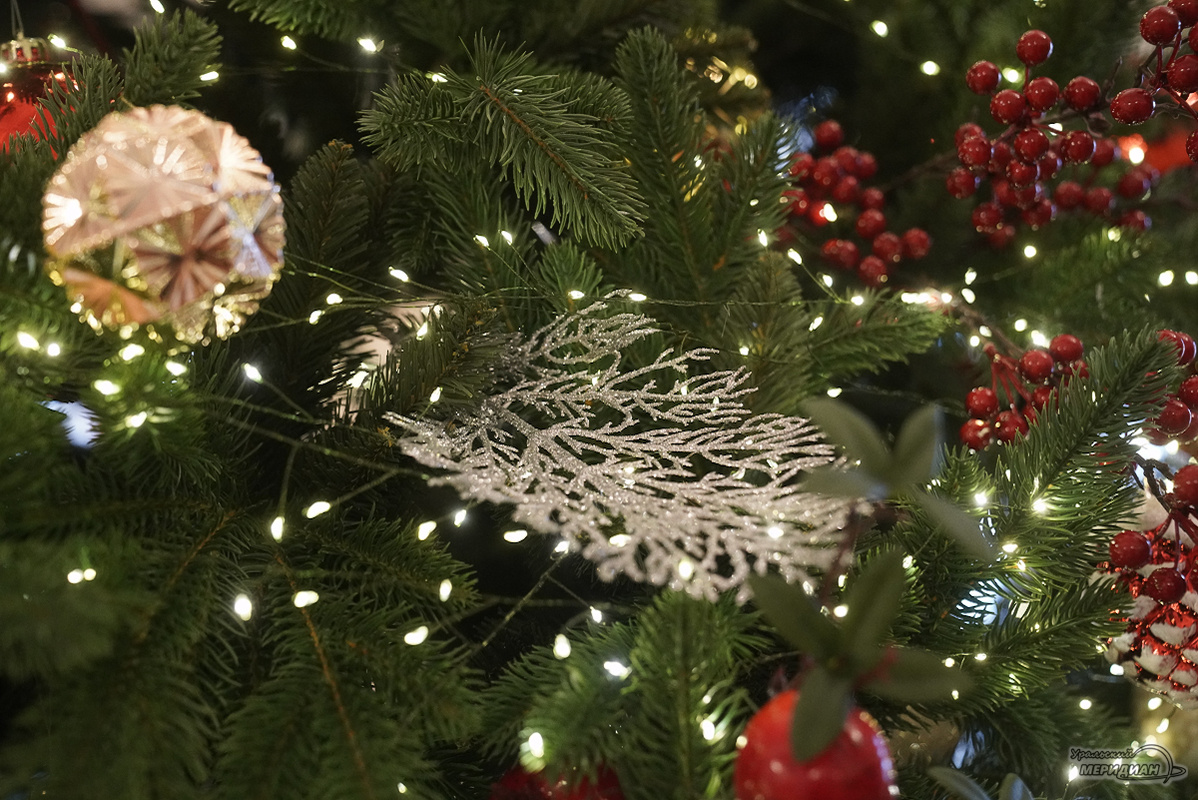    Фото: Лидия Аникина © ИА «Уральский меридиан»