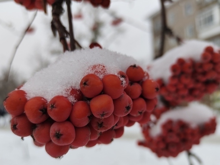     Фото: Наталья Шлюшинская