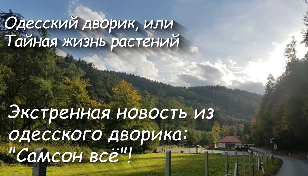 Обложка автора, с использованием фото из... Чехии ))) 