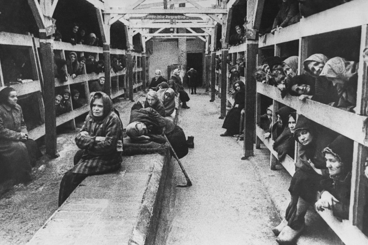 Фото из свободных источников.