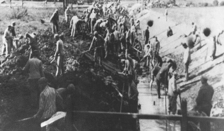 Фото из свободных источников.