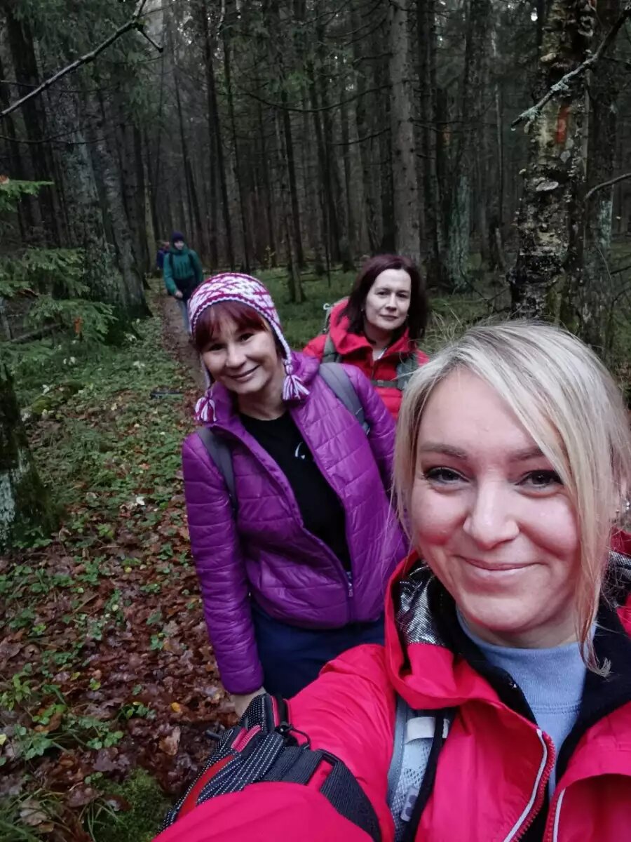    Обложка истории