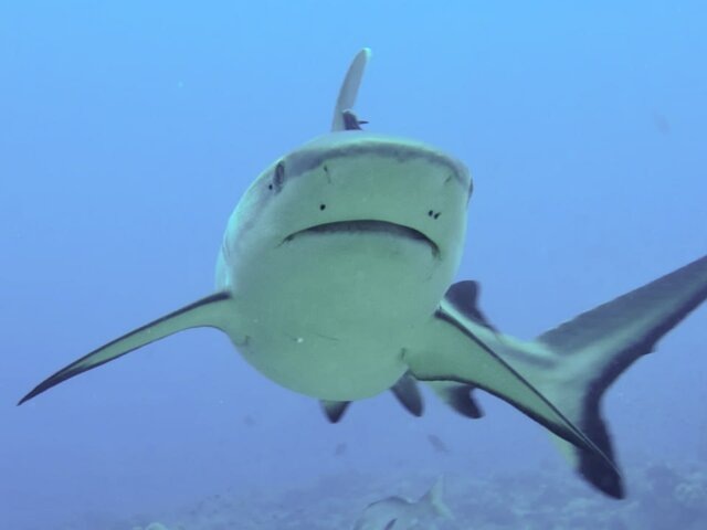    Фото: depositphotos/izanbar