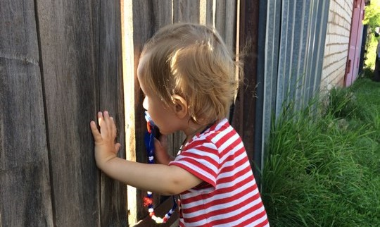 Малыш услышал, что за забором осталось что-то незапрещённое / Фото: Vostok.Today