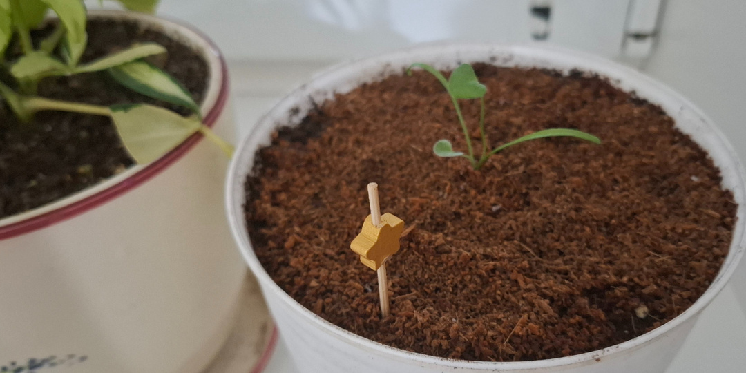 Зимой все дни похожи!