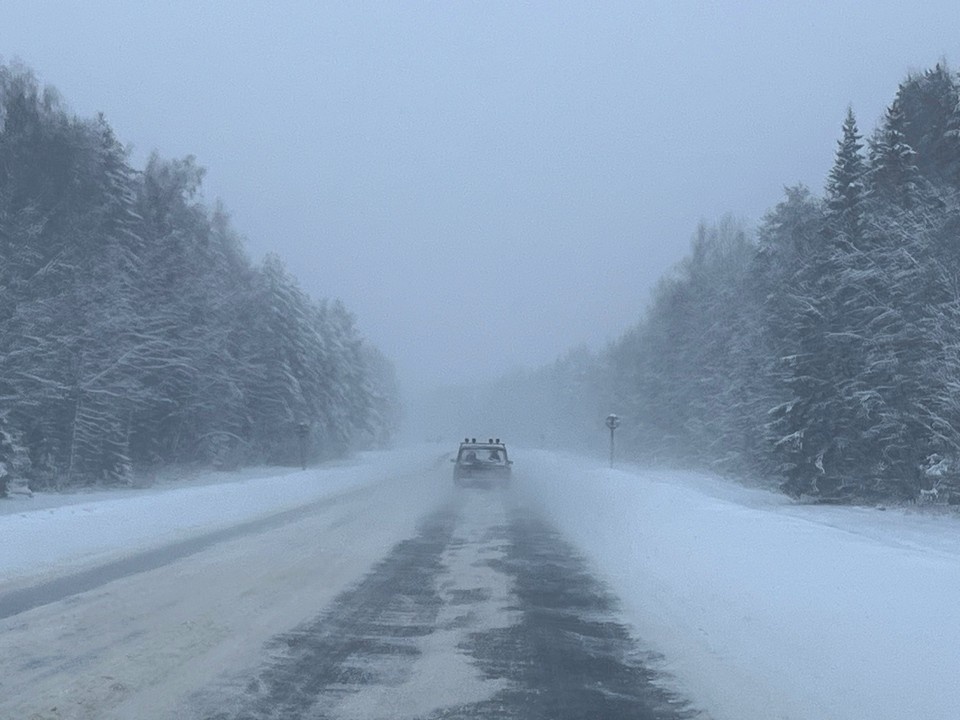    Фото: фотоархив портала "КП в Костроме"