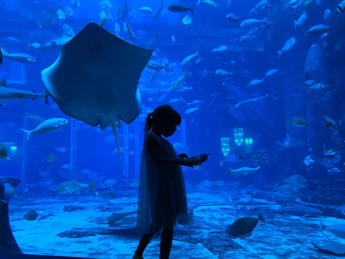    Океанариум Lost Chambers в Дубае. Фото: АТОР