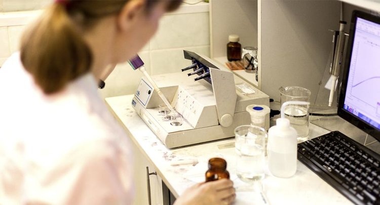    Фото: ФГБУ ЦОК АПК