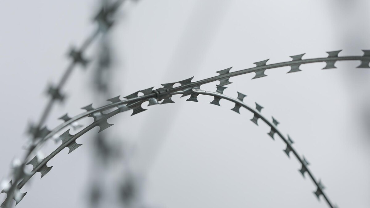    Фото: Belkin Alexey/globallookpress.com