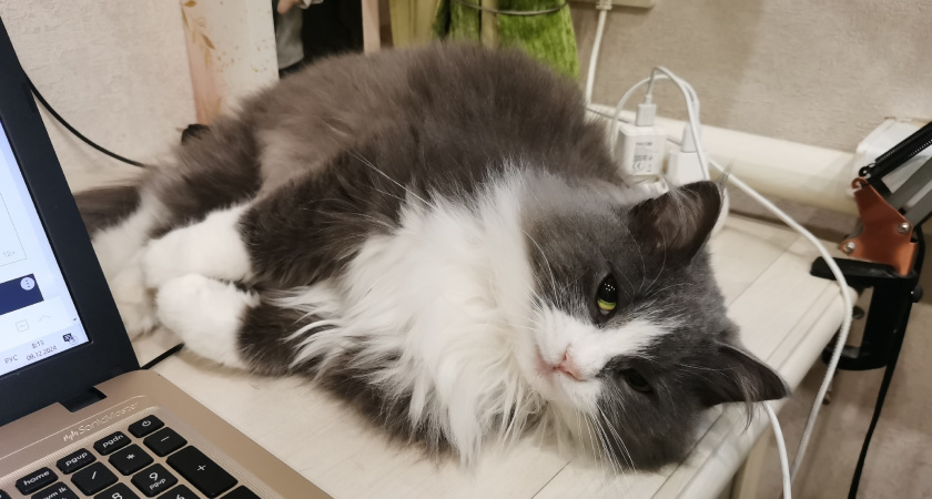    Фото newtambov.ru