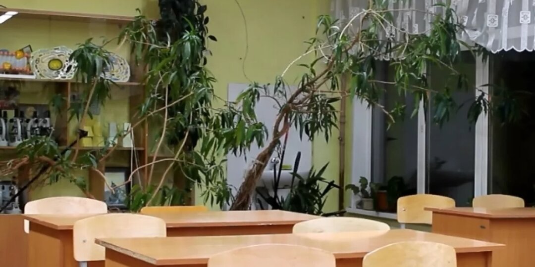 В Курской области школы и детсады отправили на дистант из-за морозов