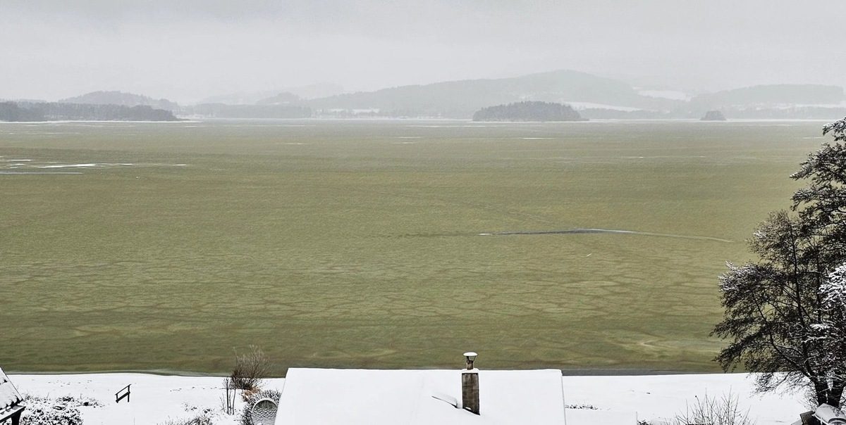    Уникальный зимний пейзаж: замерзшее озеро Липно стало зеленым
