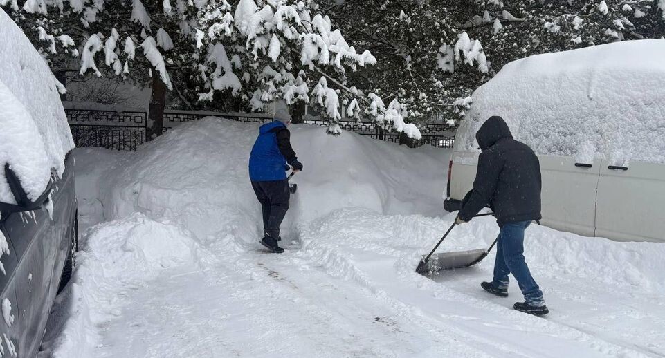   Министерство образования Московской области