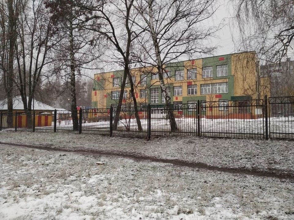    Предполагается, что удаленный формат будет действовать в регионе до 4 февраля Светлана ВОЛКОВА