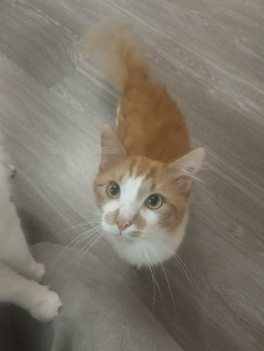 Но они всё-равно милашечки :)