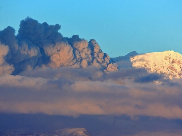    Фото: телеграм-канал "ИВиС ДВО РАН"/Юрий Демянчук