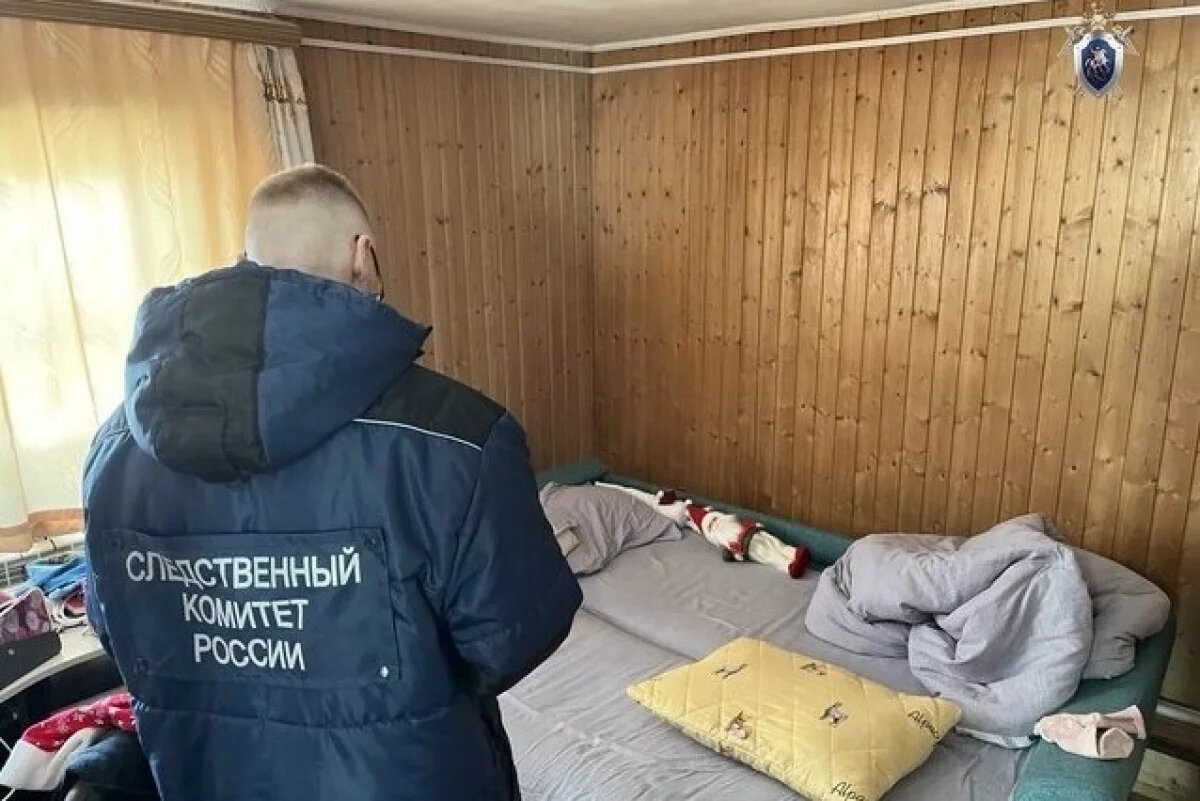    В СК рассказали об условиях в семье в Шимановске, где мать задушила ребенка