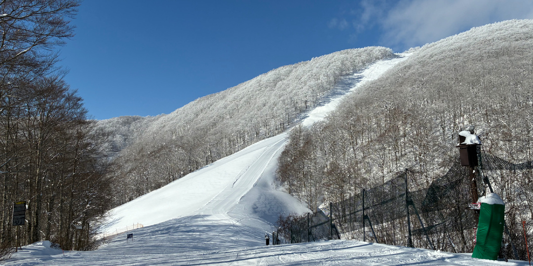 Горные лыжи в Японии. Курорт Hoshino Resorts Nekoma Mountain