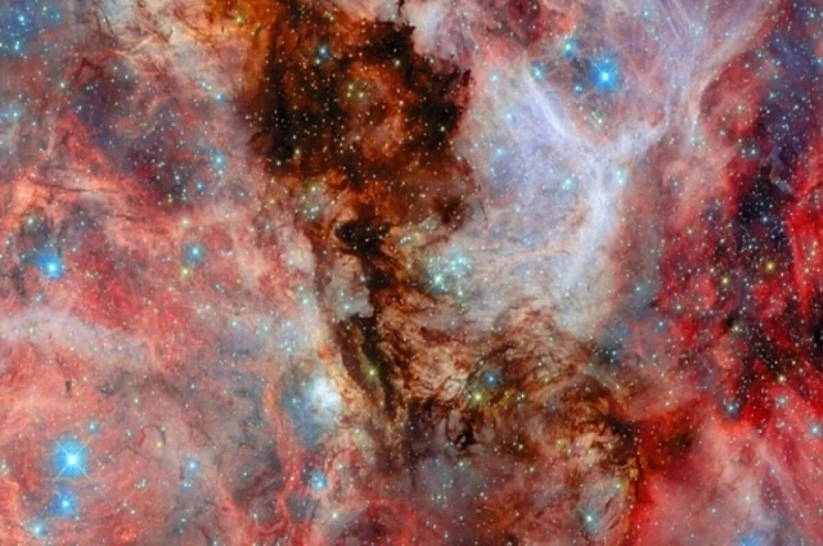    Новосибирцы в феврале смогут увидеть комету с ярким пылевым хвостом