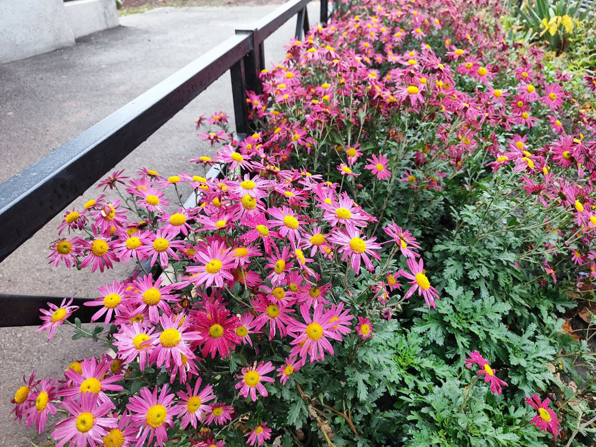 Фото автора.