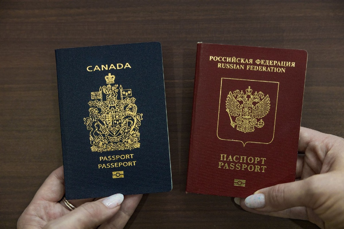    Фото: iStock/Margarita-Young