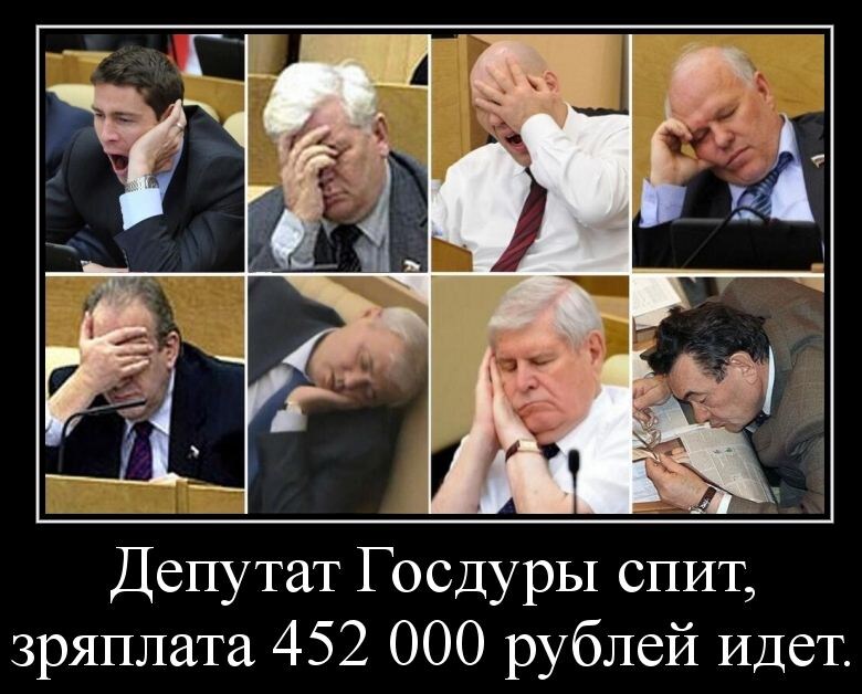 Депутаты устали и задремали. Из открытого источника