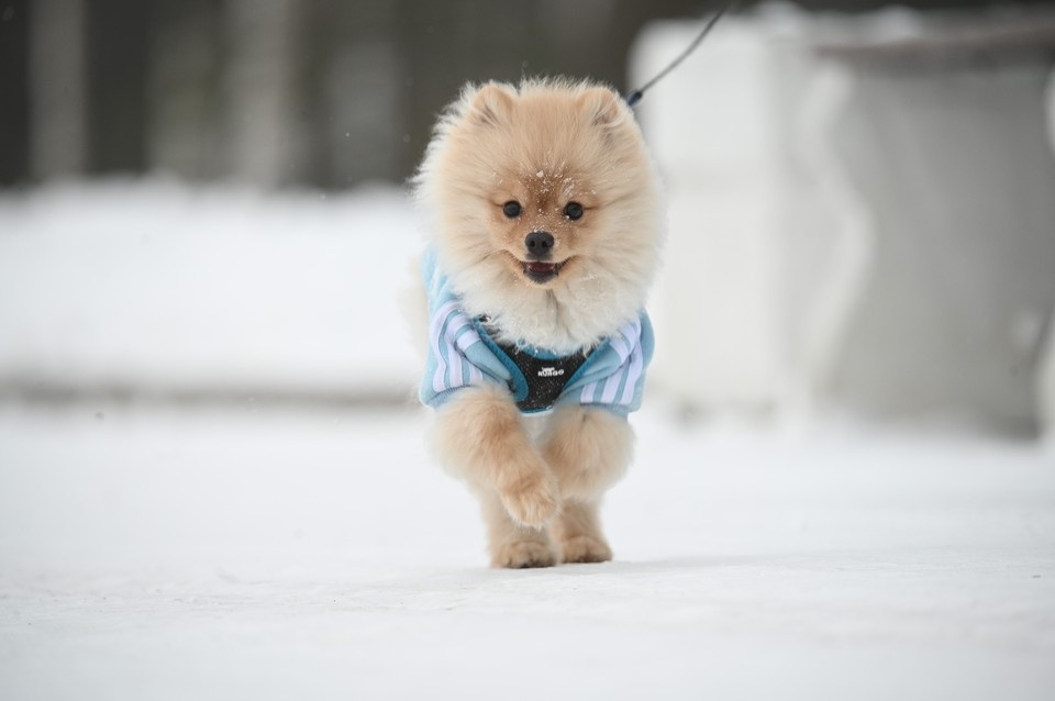    Женщина просит взыскать с клиники более 130 тысяч рублей Алексей БУЛАТОВ