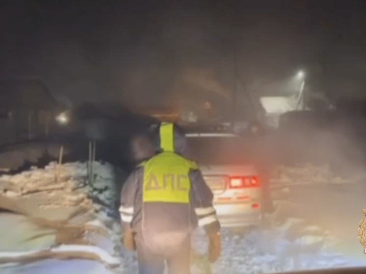     Скриншот с видео соцсетей Госавтоинспекции России