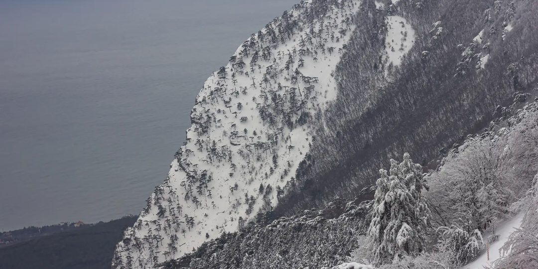 Добро пожаловать в сказку: кот Мостик зовет на плато Ай-Петри