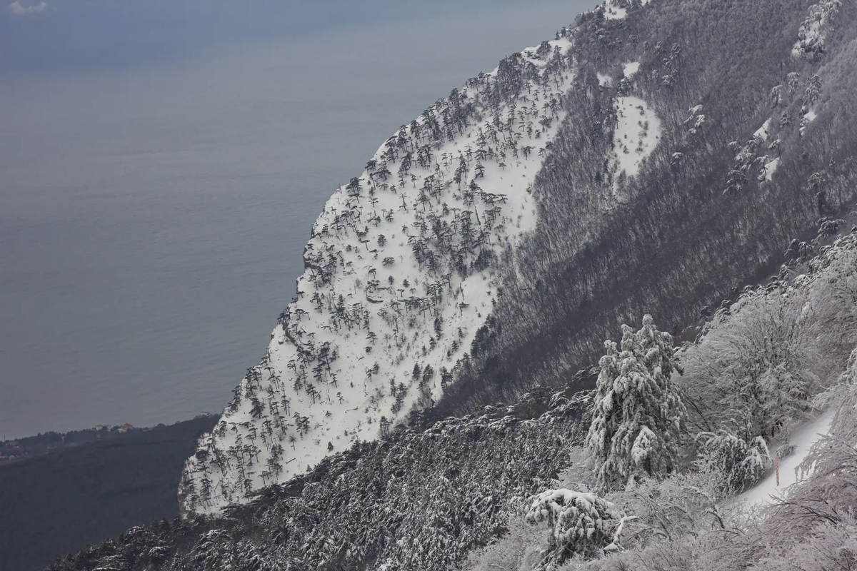 Ощущение свободы в одном взгляде