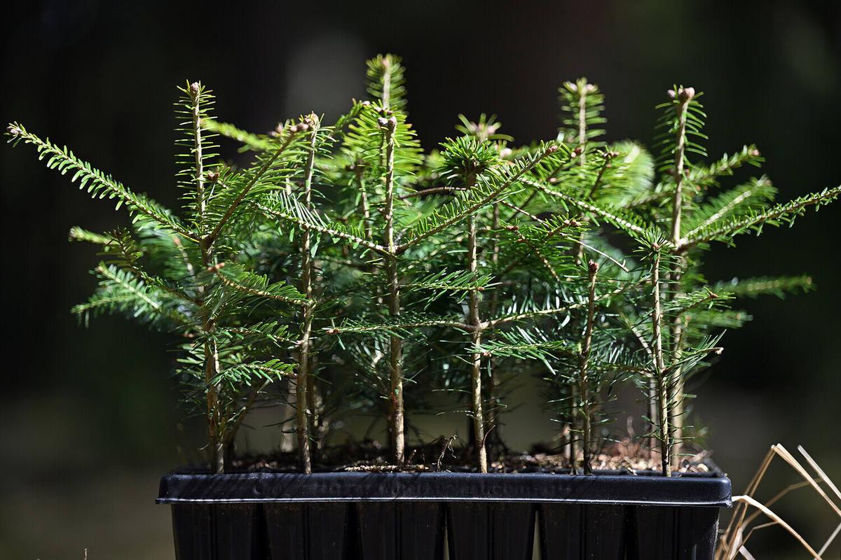    Фото: Global Look Press