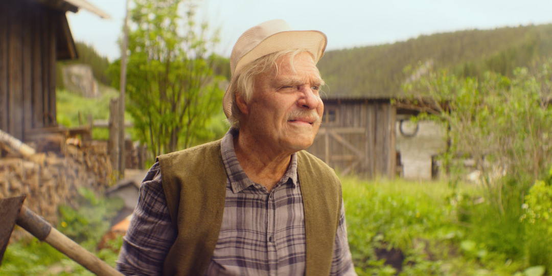 Топ-10 кассовых российских фильмов 2025 года.