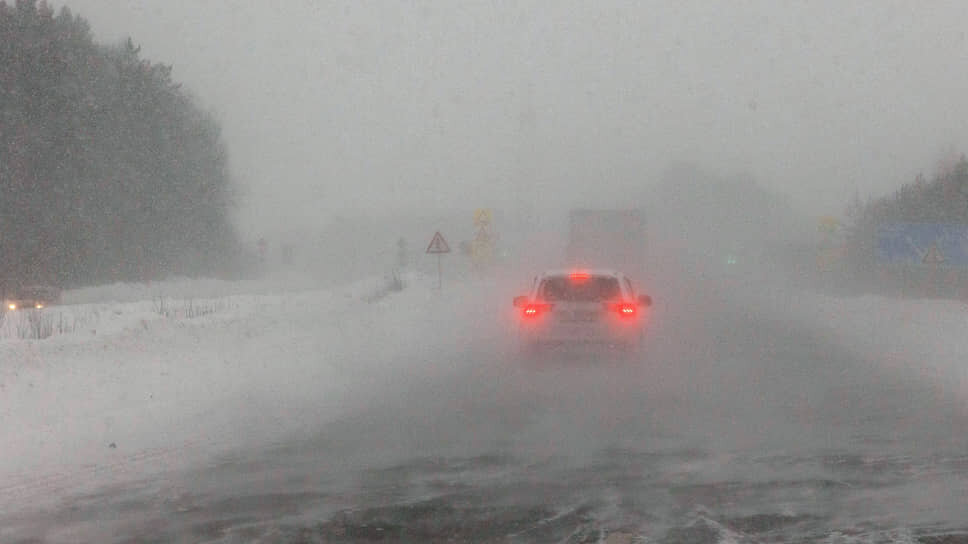 Фото: Марина Молдавская / Коммерсантъ