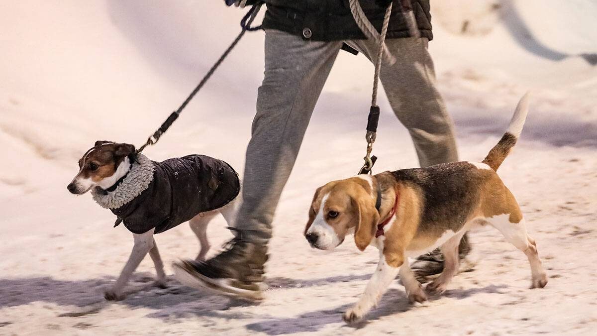    Фото: Софья Сандурская / АГН Москва
