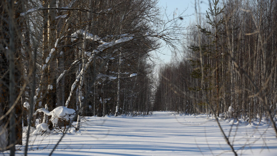    Фото: KazanFirst