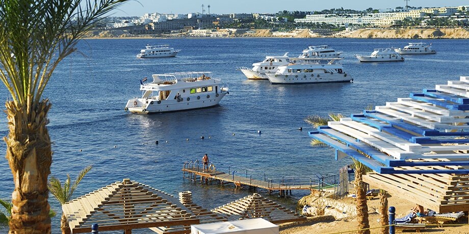    Фото: depositphotos/Irochka