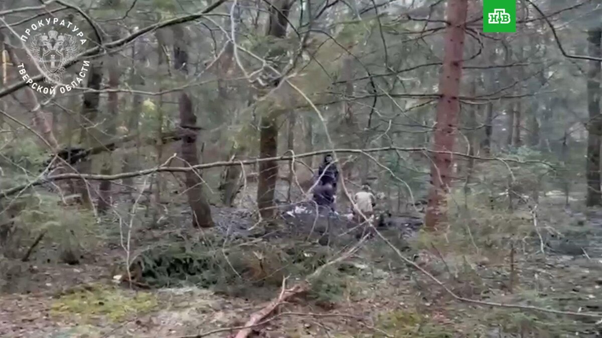    Пропавшую в Тверской области    13-летнюю    девочку нашли мертвой