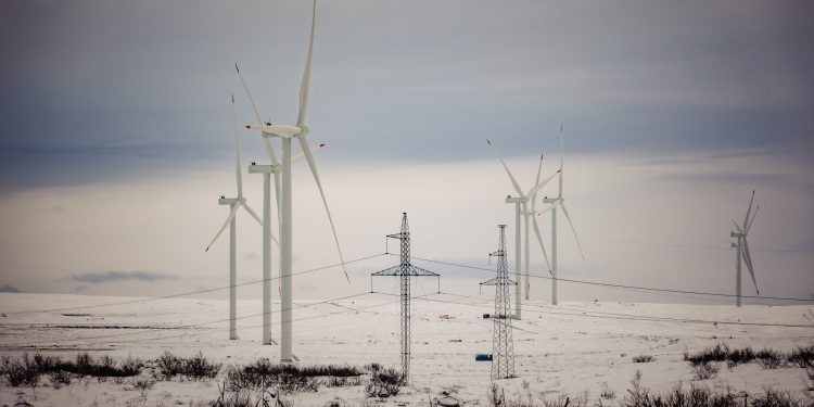    Комитет по туризму Мурманской области