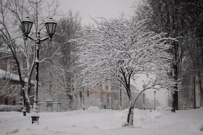     © РИА Новости. Константин Чалабов