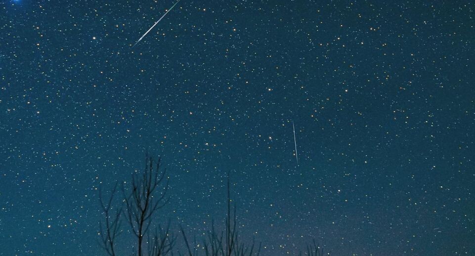    istockphoto.com/m-gucci